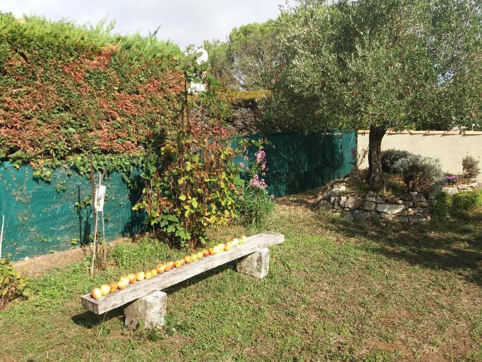Le Clos De La Plage - Villa Vintage Avec Jardin Privatif- 500M De La Plage - 6 Personnes Dolus-d'Oleron Luaran gambar